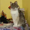 Отзыв от Людмила Тихомирова